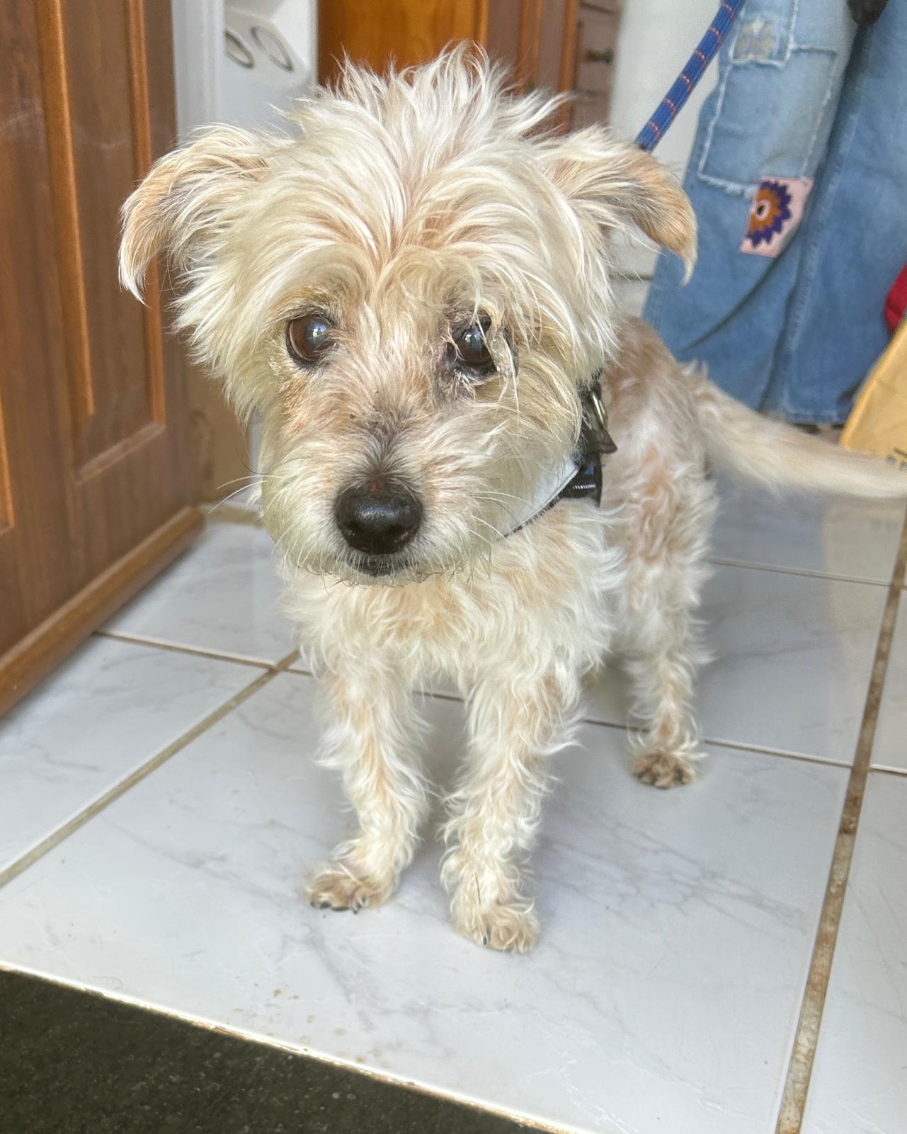 Charlie