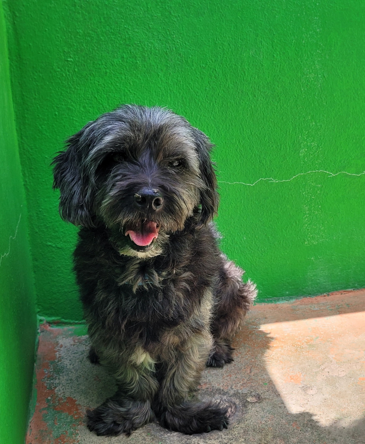 Chiqui