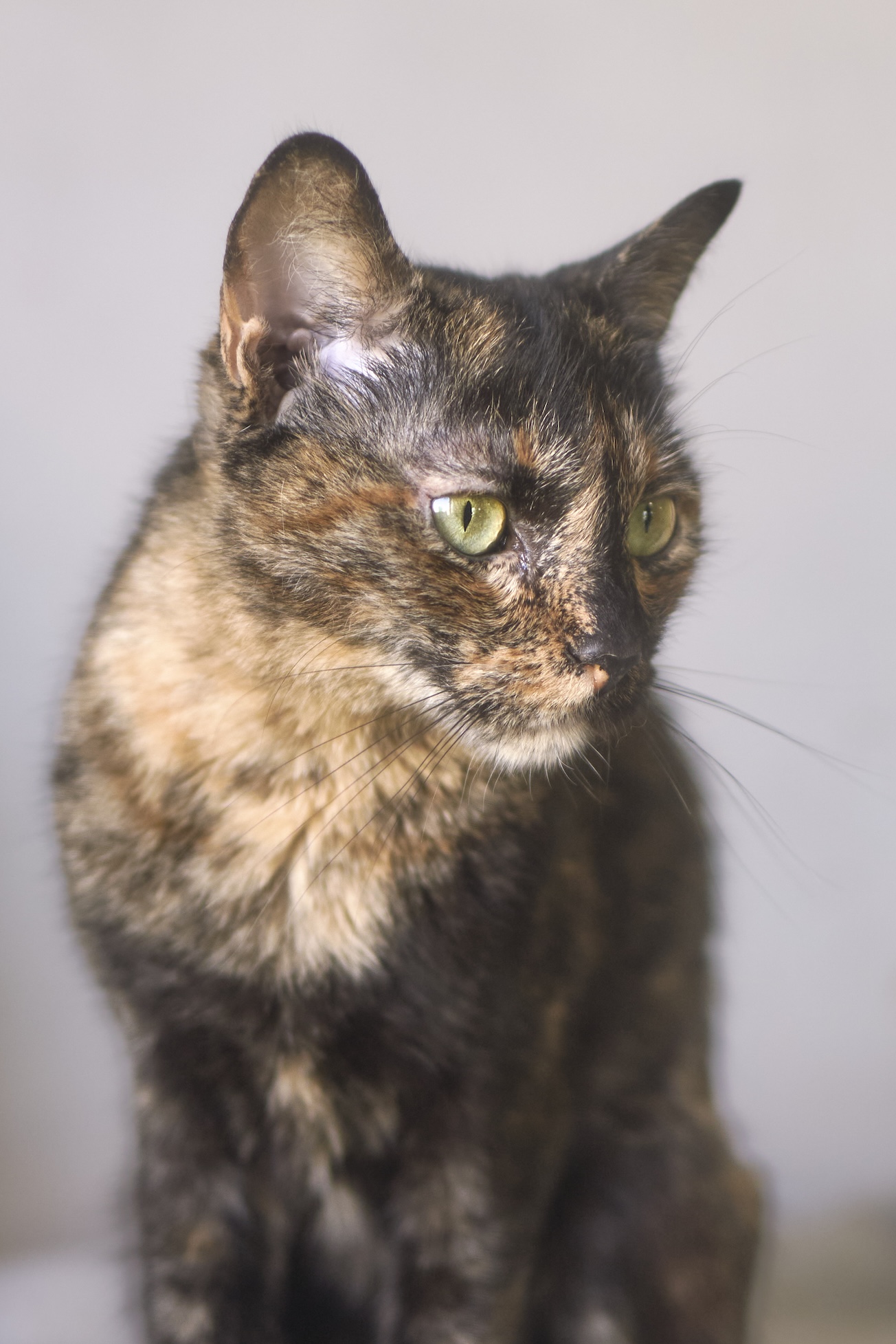 Bella