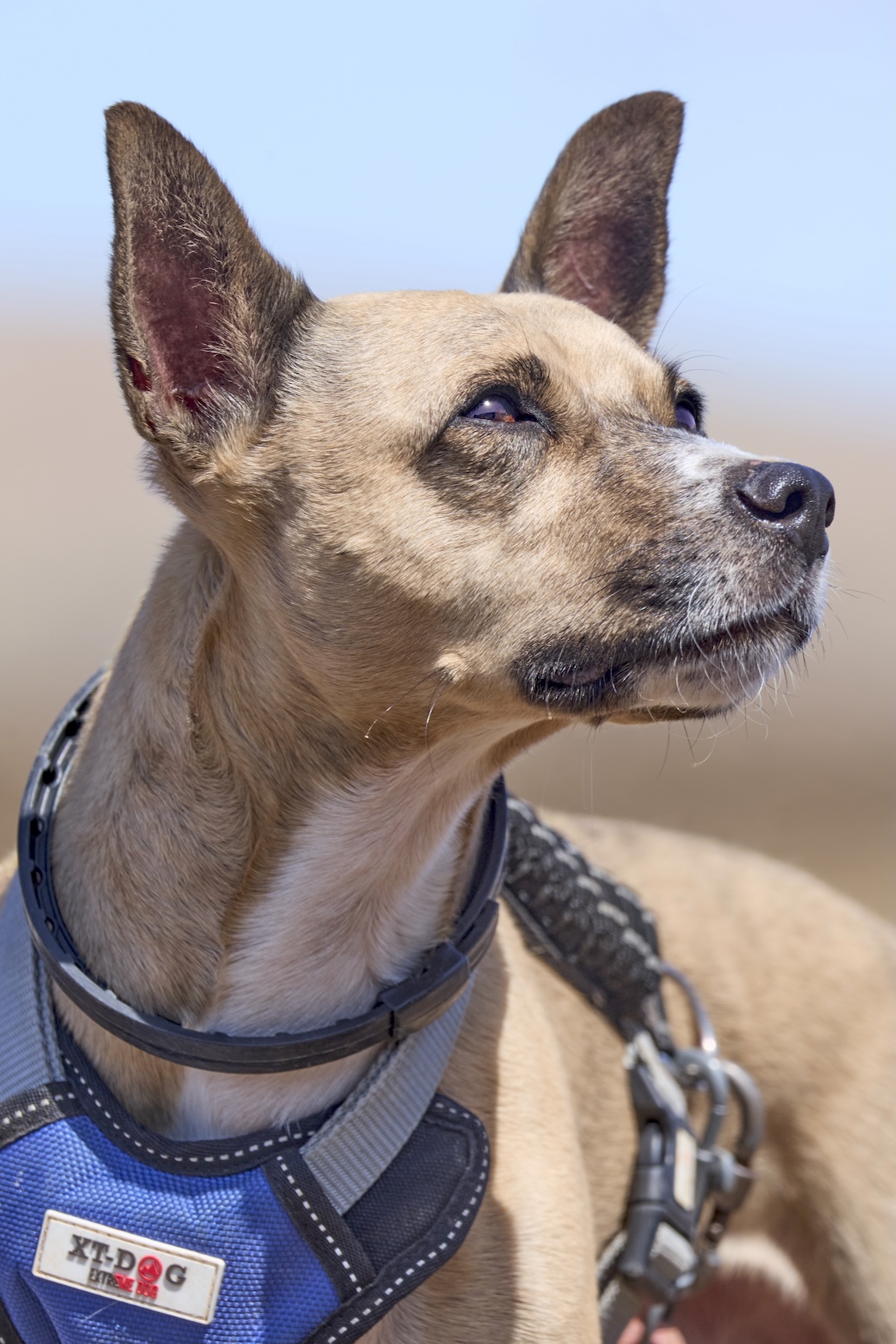 Pluto -RESERVADO-
