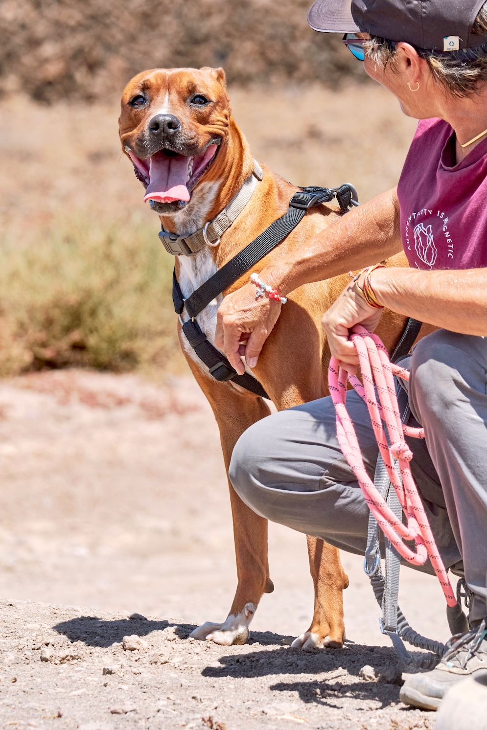Tito (Cachorro Vegueta 1)