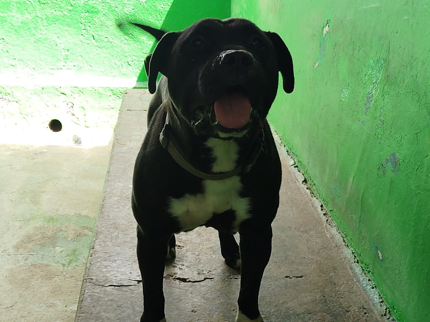 Zeus