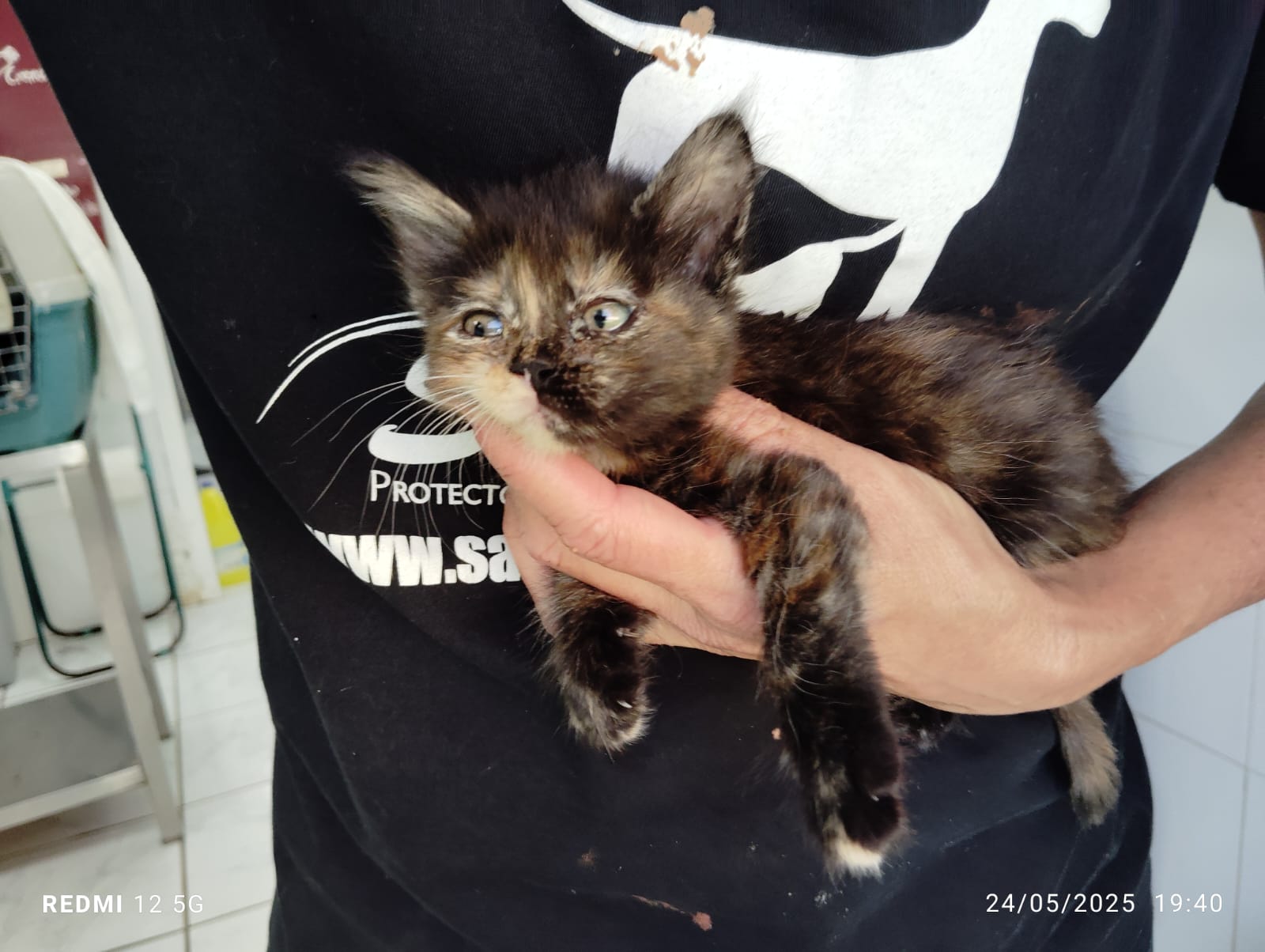 Gatito Calero 3