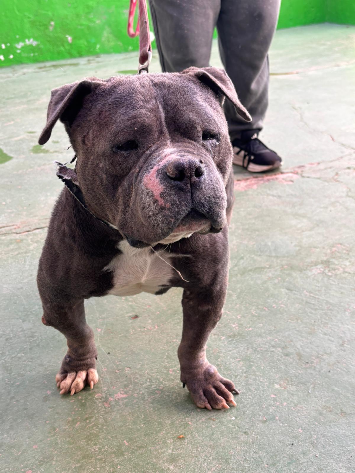 Urko -RESERVADO-